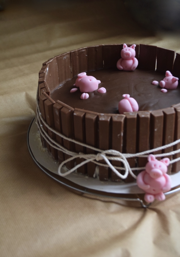 Pigs In The Mud Cake